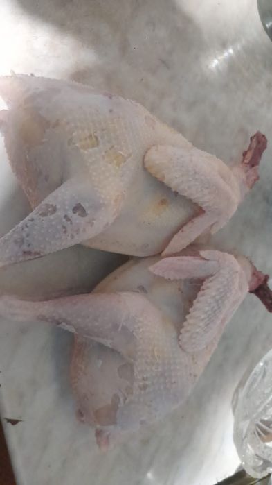 Продам все вопросы по телефону