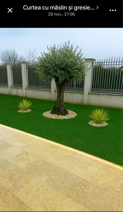 Gazon Rulou sport/rustic