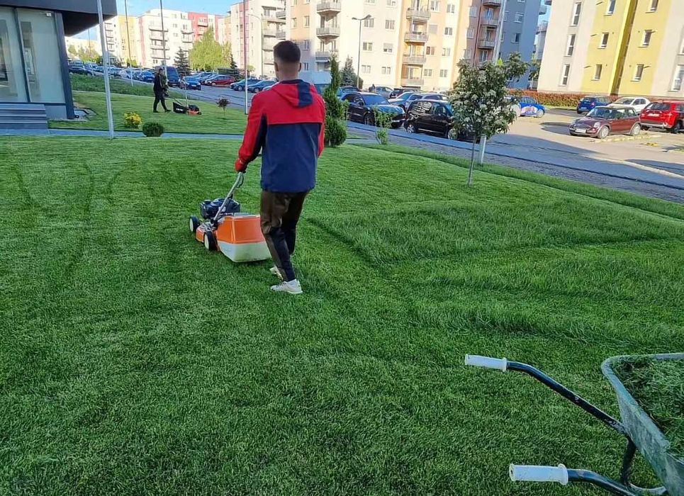 Amenajare curte cu gazon rulou | Livrăm și montăm rapid