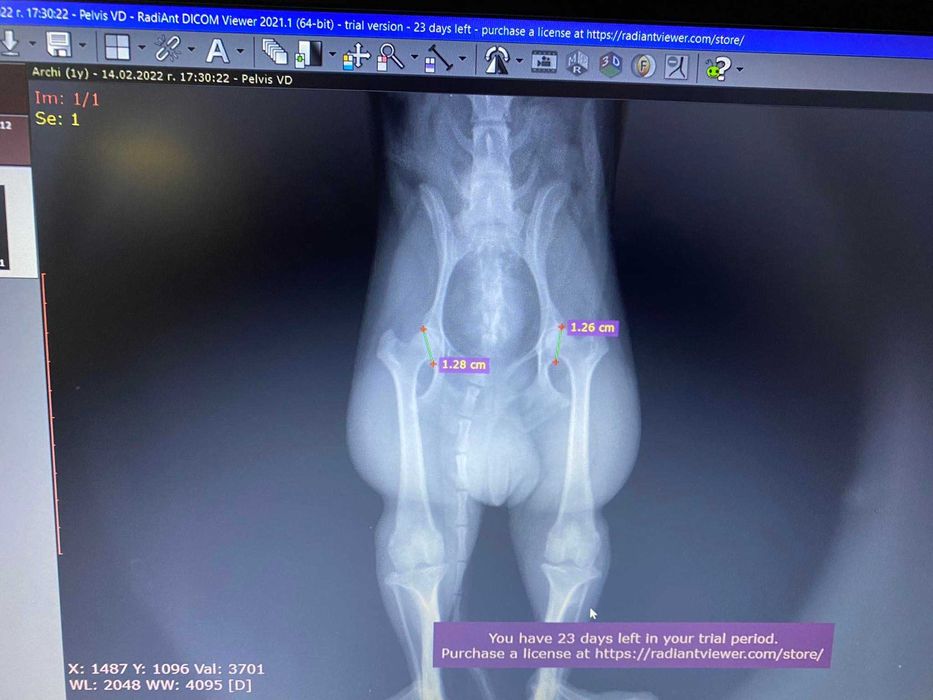 Ветеринарен CR рентген