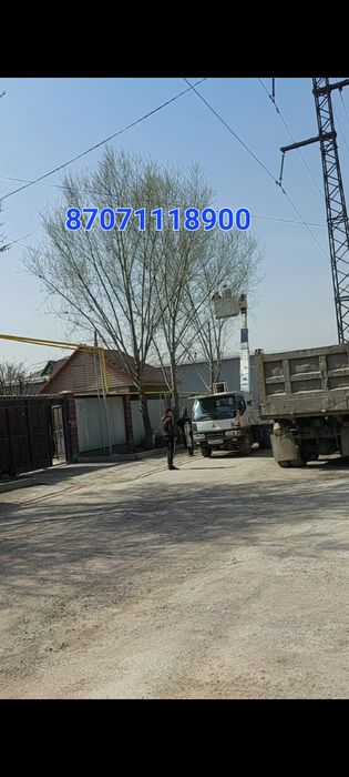 Кронировка.  Деревьев.