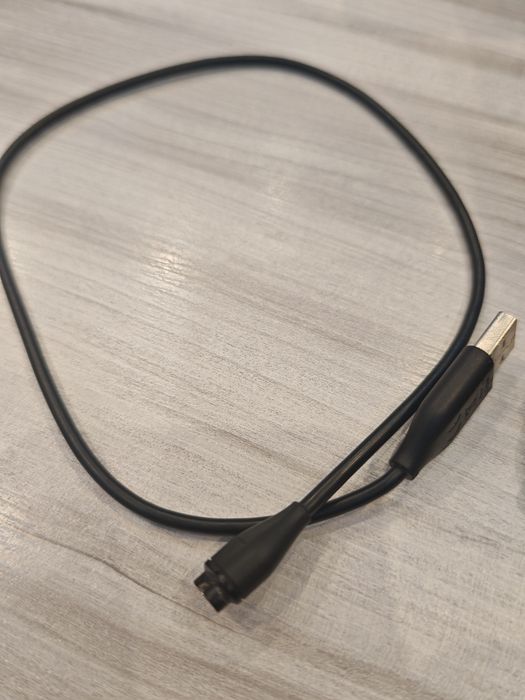 Garmin Forerunner 255 music