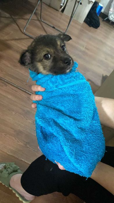 Забери меня, Добрый человек