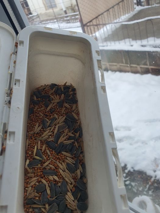 Срочно гарантия жоқ