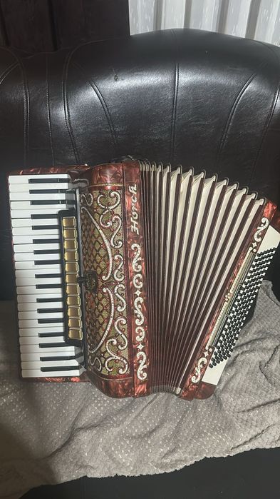 Acordeon 120basi