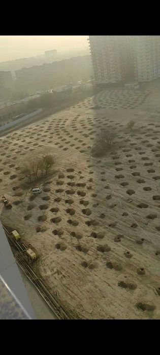 XONSAROY OCEAN  2/14/16   65.3 kv.