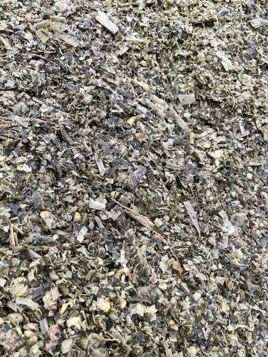 Vând siloz de porumb