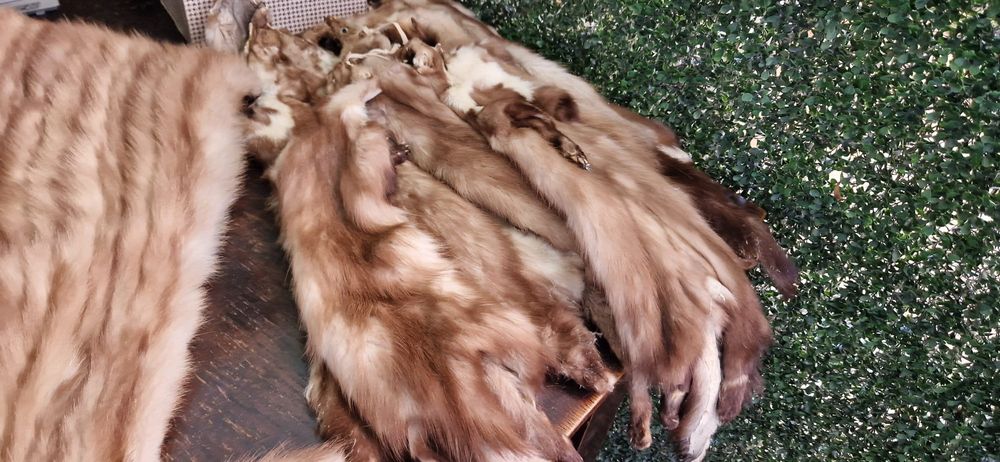 Blănuri naturale vechii