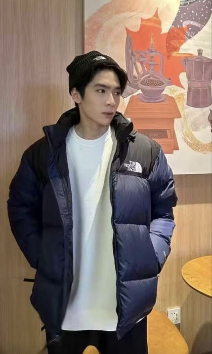 Зимняя куртка пуховик The North Face