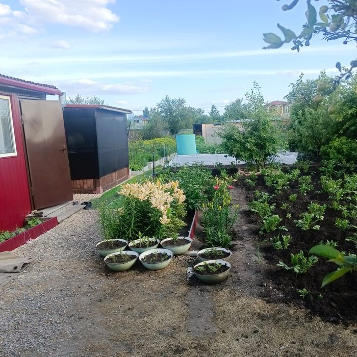 Отличная Дача с банькой