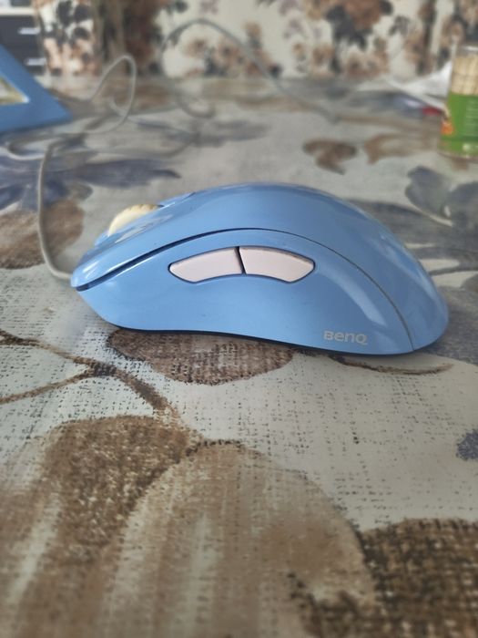 Zowie ec2-b divina mouse и bungee