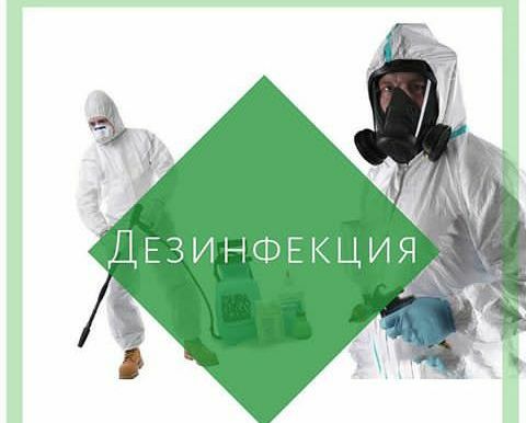 Гарантия результата. Клопы.