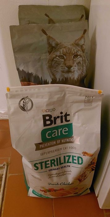 Суха храна за котки