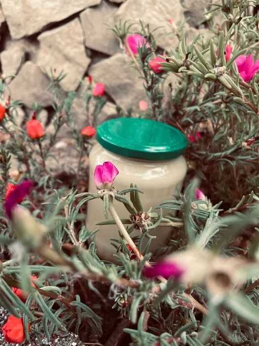 MIERE De Albine 18 Ron