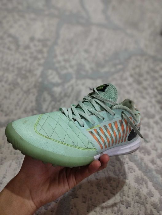 Сороконожки лунар гато