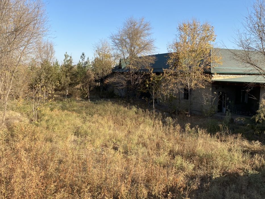 Сирдарё туманида трасса ёкасида 55 сотих биноси билан сотилади