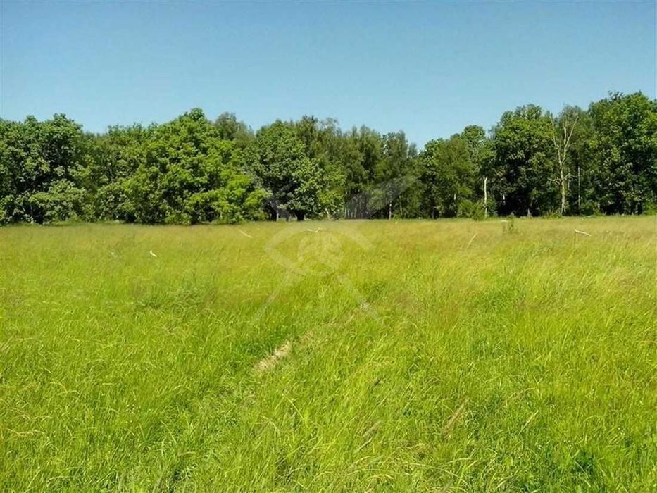 Парцел Голям Чардак 83388