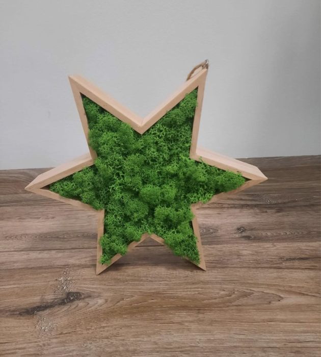 Tablouri cu licheni stabilizati, muschi si flori