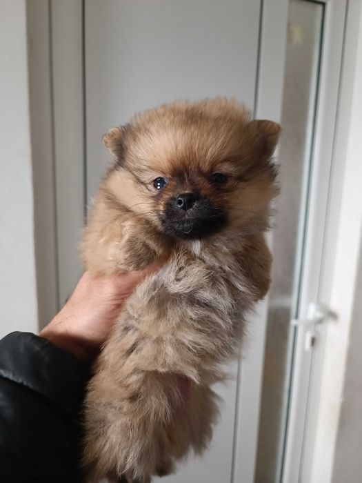 От Стара Загора сме