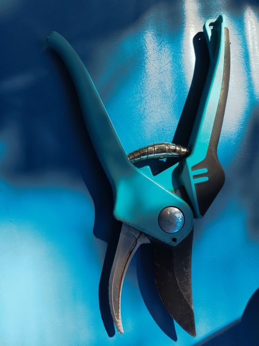 Лозарска ножица за градината.