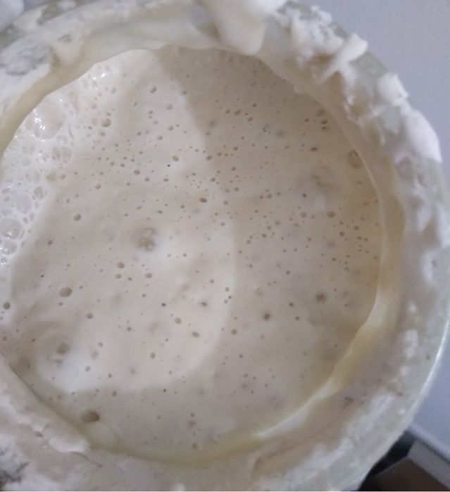 Maia activa facuta de la 0