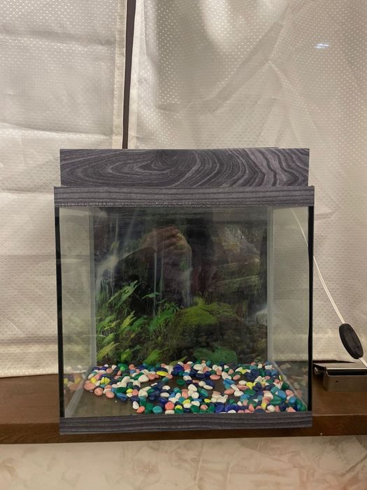Аквариум для рыб