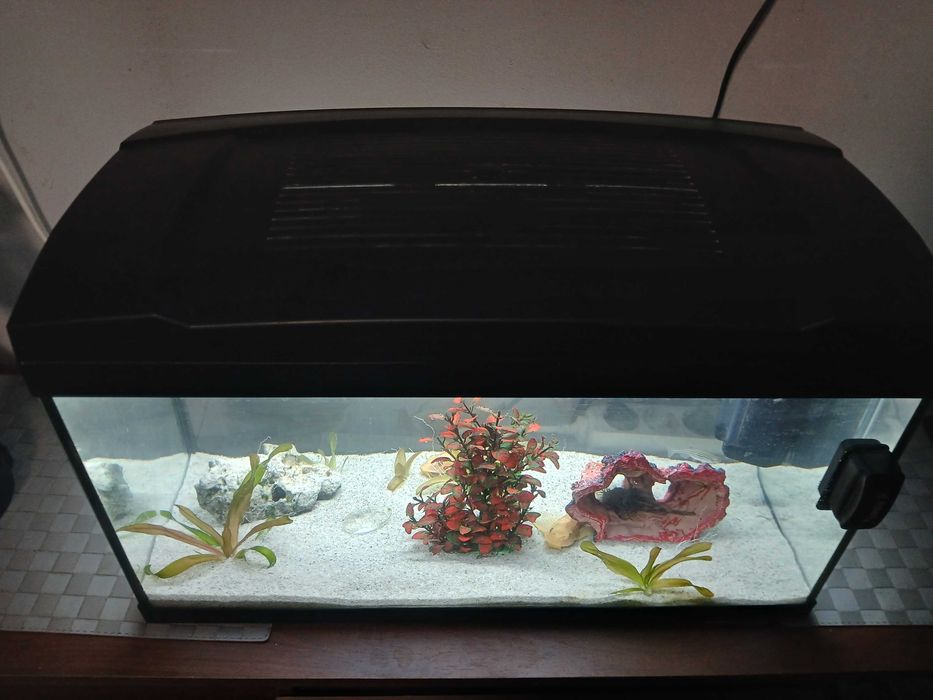 Vand acvariu cu accesori multiple