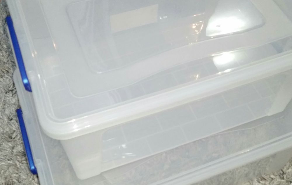 Контейнер для улиток ахатин