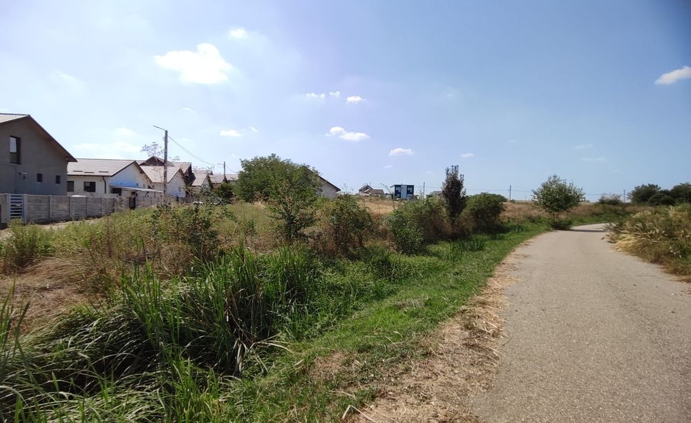 Teren de vanzare Geamana Bradu 1000 mp intravilan