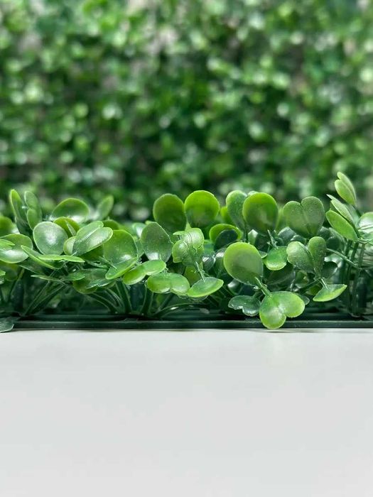 Фитостена искусственная — для интерьера и экстерьера