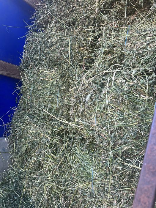Baloti lucerna curata (asiguram transport contra cost motorina)