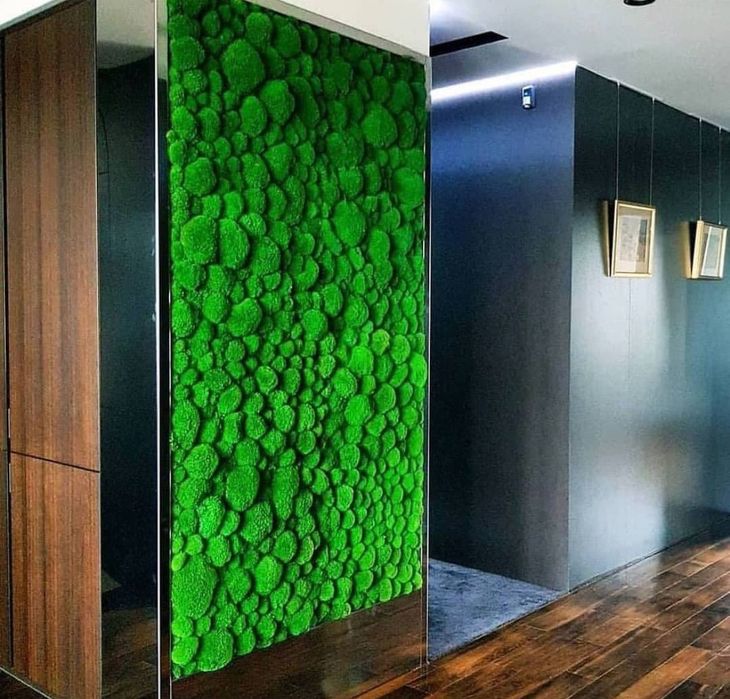 Панно из стабилизированного  мха