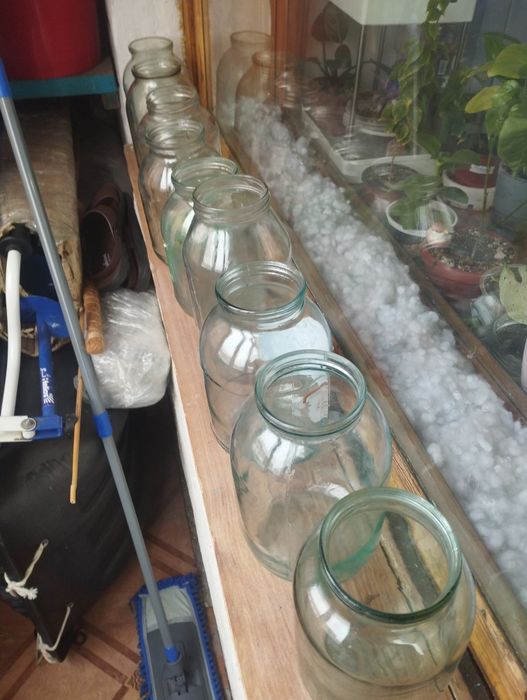 Продам банки 2-л.