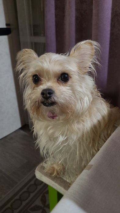 отдаём в хорошие руки