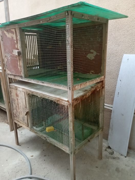 Куенга ин сотилади