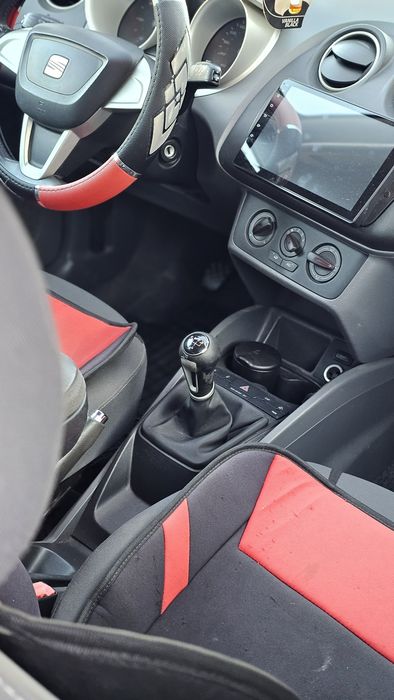 Seat ibita an 2010