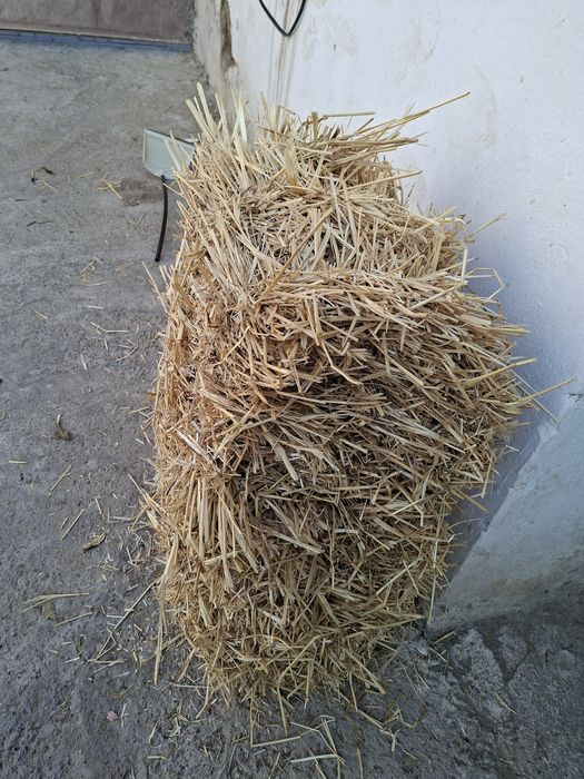 Бидай саман малга