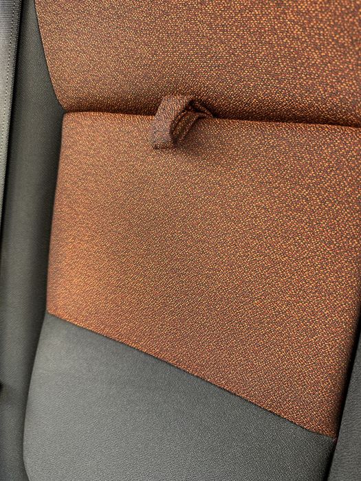 Curatare si iginizare canapele(injectie/extractie +aburi)