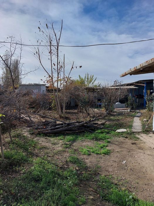 Дом с участком земли