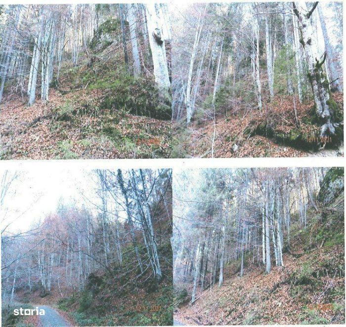 Teren extravilan - 38.800mp, Rastolita