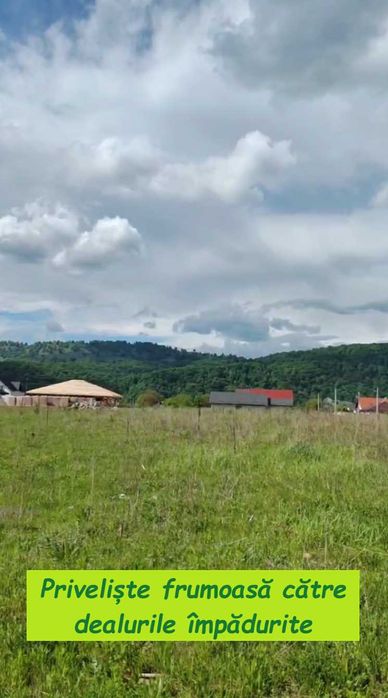 Teren intravilan 2600 mp – Dumbrava Roșie / Dâmburi 3/4