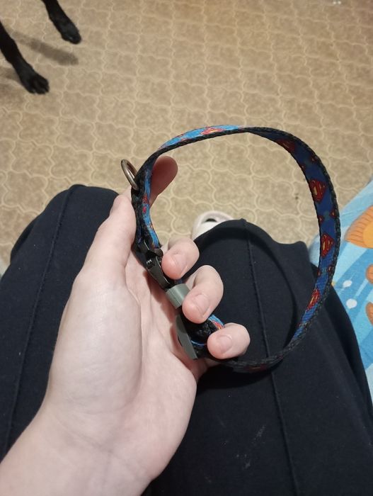 Продаю амуницию для собак