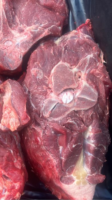 Мясо конина, говядина туша, полтуша