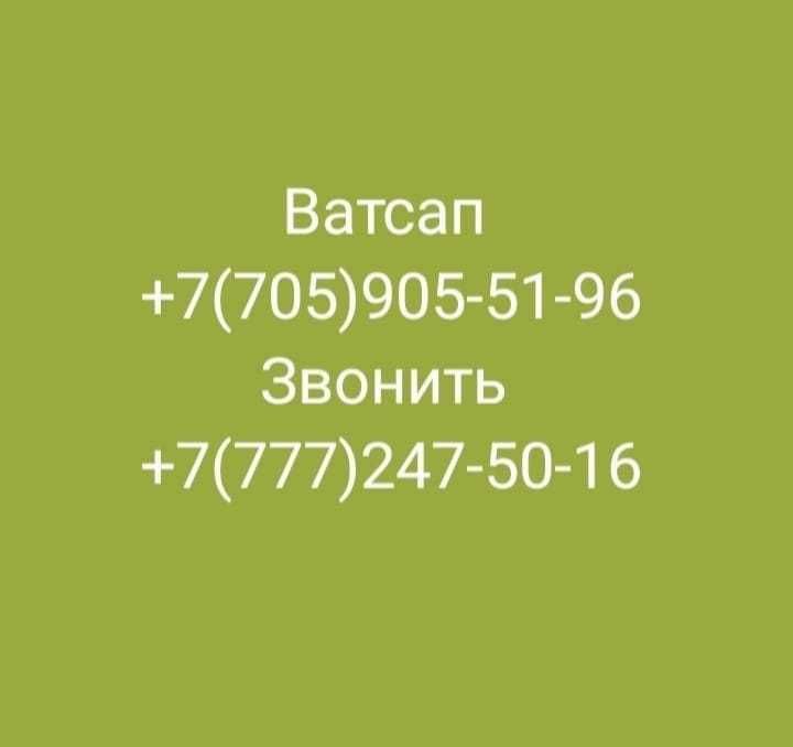 Однокомнатная в аренду