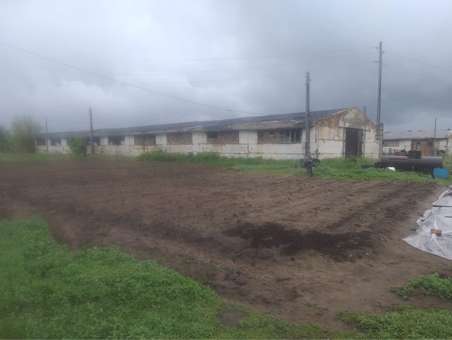 Продам базу р Курайлы