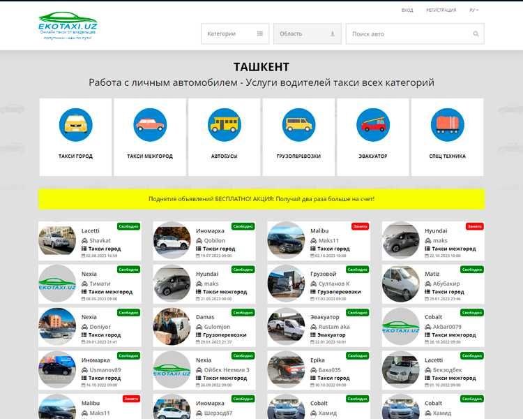 Веб-разработчик с 12-летним опытом. 100+ реализованных проектов