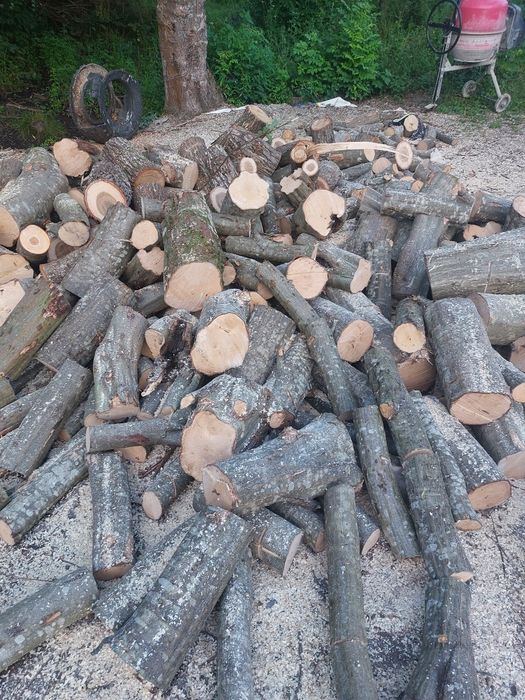 Lemne pentru foc