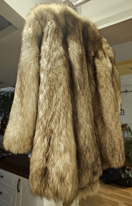 Haina de blana vulpe argintie