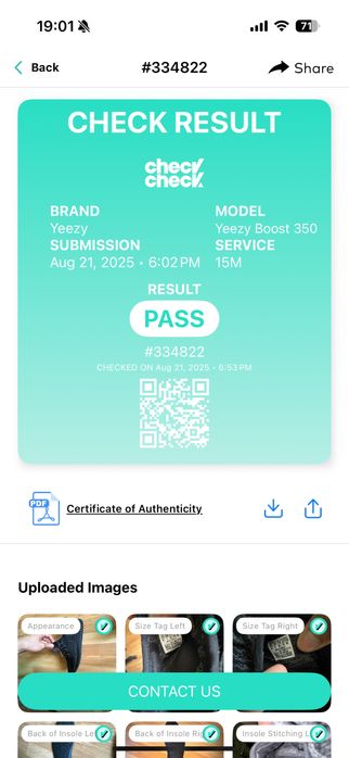 Yeezy 350 v1 Pirate Black