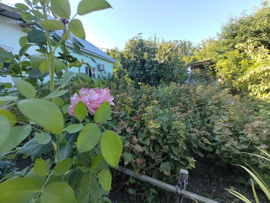 Продам Дачу "Сабалак"